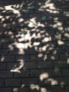 りょう