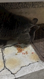 新着ブログ 0525