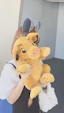 chiko