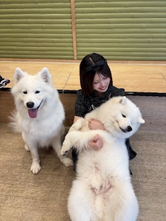 りず