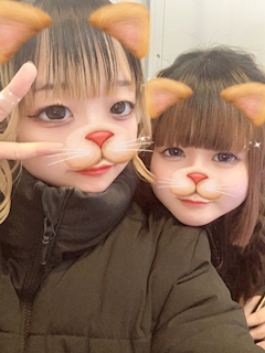 ザクロ「( *・ω・)ノ」