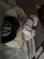 chiko
