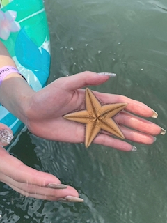 らみ「うみれす」