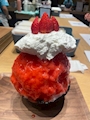 新着ブログ カキ氷