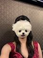 れい🐶ATHENA