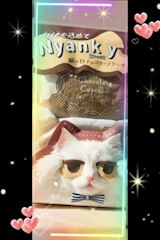 新着ブログ ✨ 「私が前に飼ってた猫ちゃんを思い出すプレゼント🐱💕」