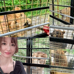 桜音 るい「先週の箱根旅行♨️」
