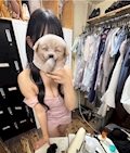 うな PRIMA DONNA
