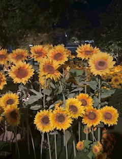 プロフィール写真1・👼🏻🍑｜栄 スナック・スナックイレブン