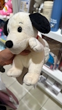 chiko