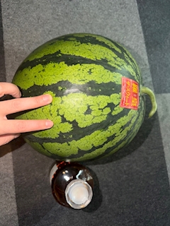 真央「🍉」