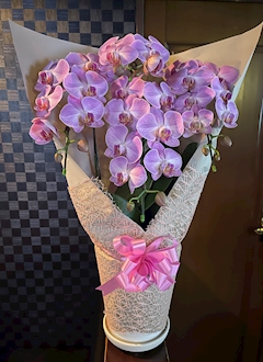 プロフィール写真1・かおり｜Club シルクロード - 千葉・富士見町のパブ/スナック