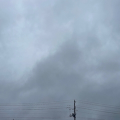 ほなみ