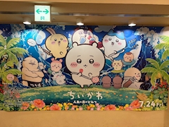 まや