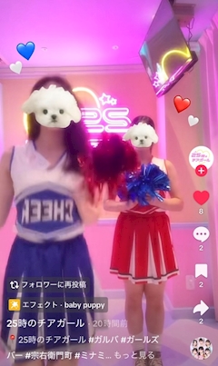 ななちゃん「店休日です(＞＜)」