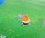 新着ブログ ‪🐹