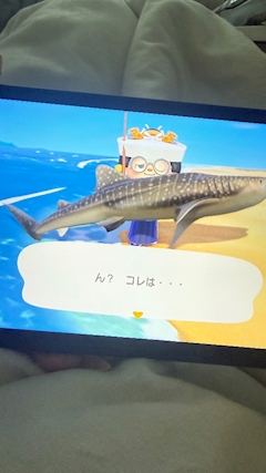 みみ