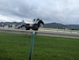 新着ブログ 夏競馬も半分
