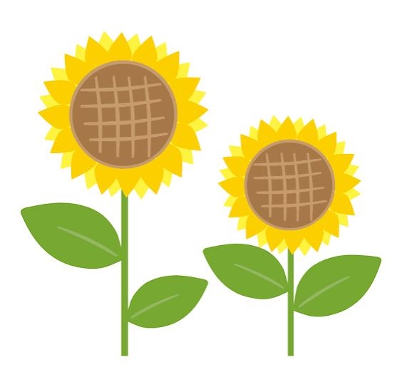 プロフィール写真1・ゆず｜