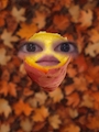 chiko