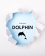 🐬ドルフィン🤍STAFF🐬