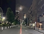 新着ブログ 夜散歩🌉