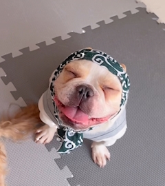 ちなつ