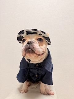 ちなつ