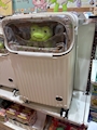 新着ブログ かわいいの発見