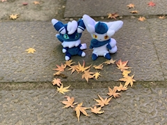 プロフィール写真8・りん｜浅草 キャバクラ・ロイヤル