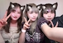 chiko
