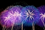 新着ブログ ☆☆☆