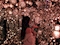 プロフィール写真1・のあ|CASUAL CLUB ATHENA・アテナ - 蒲田東口のキャバクラ