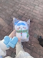 chiko