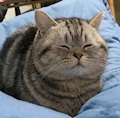 あい