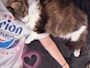 新着ブログ 🇯🇲😸