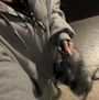 chiko