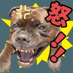 🍙いよ CLUBREGALIA🍙 CLUB REGALIA・レガリア - 錦糸町駅南口のキャバクラ