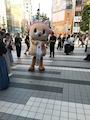 chiko