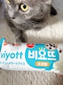 chiko