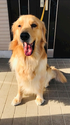 プロフィール写真1・MG|mrs.J 小牧・ミセスジェイ コマキ - 小牧の熟女パブ/熟女キャバクラ