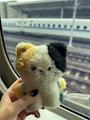 chiko