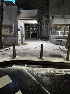どんぐり2号「ゆき☃️」
