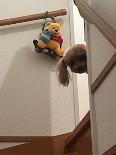 にこ