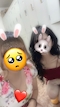 プロフィール写真2・ありす🐰｜mrs.J 柴田・ミセスジェイ シバタ - 柴田の熟女パブ/熟女キャバクラ