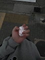 chiko