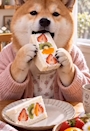chiko