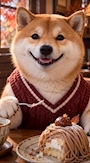 chiko