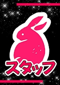 スタッフO【シュガーグループ】