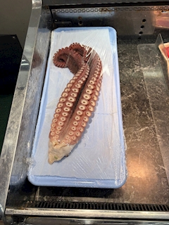 まい「🐙🐙‼️」